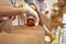 Close up of hand of volunteer in glove holding an apple while collecting, sorting food for needy people in paper bags