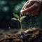 Close-Up of Hand Watering the Sapling of the Plant. AI