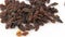 Close-up a handful of sweet raisins rotate on a white background.Sweet organic raisins rotate on a plate. Raisins rotate