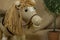 Close-Up Of Handmade Toy Horse