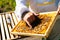 Close-up of hands of apiarist examination touching bees crawling on wooden frame.