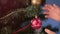Close-up hands of baby boy decorated Christmas tree hanging big red ball on brunch