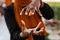 Close-up hands of black muslim woman at qigong chinese meditation and sport training outdoor. African girl is meditating