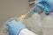 Close-up of hands with blue nitril gloves holding a metal spoon, filling a plastic test tube with milled sample