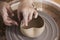 Close-up of the hands of a craftsman ceramist working with her p