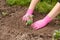 Close up hands of a female gardener planting bell pepper seedlings in the garden