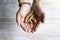 Close-up of hands with fresh turmeric roots, an Indian medicinal spice