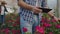 Close-up hands gardener florist. Modern rose farmers walk through the greenhouse with a plantation of flowers, touch the