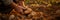 Close-up of a hands gently lifting a potato from the soil, capturing the moment of harvest and the earthy texture of the potatoes