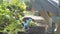 Close up hands of a girl caring and transplanting the potted plants in home garden under morning sunlight.