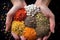 Close-up of hands holding assorted seasonings and spices for cooking in the kitchen