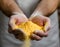 Close-up of hands holding yellow powder