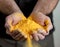 Close-up of hands holding yellow powder