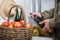 Close up of hands man with a bottle of cider and apples