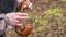 A close-up of the hands of a piper playing the bagpipe on the nature background