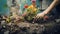 Close-up of hands planting flowers in a neglected urban area