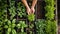 Close-up of hands planting seedlings in a garden, with a focus on sustainability and growth.