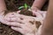 Close up hands planting tree together into the soil. Earth day. World environment day. Ozone day