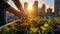 Close-up of hands planting young green seedlings in urban garden beds with a cityscape sunrise in the background.