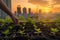 Close-up of hands planting young green seedlings in urban garden beds with a cityscape sunrise in the background.