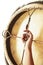 A close up of hands playing the tambourine, percussion on white studio background