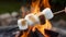 Close up of hands roasting marshmallows on a stick in the warm glow of an evening campfire