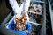 Close-up of hands in rubber gloves of a fishmonger at fish store taking sea mussels out of refrigerator full of frozen ocean