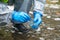 Close-up of the hands of the scientist in protective gloves, collect materials with tweezers from the water in a Petri dish, for