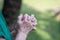 Close-up of hands senior woman joined together for pray while standing in a garden. Focus on hands wrinkled skin. Space for text.