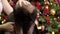 Close-up of hands stroking and scratching a Leonberger puppy sitting on a girl\\\'s lap