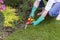 Close Up of Hands Trimming Grass with Clippers