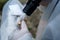 Close up on hands of unknown man forensic police investigator collecting evidence in the plastic bag at the crime scene