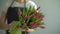 Close-up of hands of unrecognizable woman florist making floral bouquet.