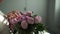 Close-up of hands of unrecognizable woman holding bouquet of fresh roses.