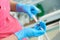 Close-up hands of young woman doctor anesthesiologist dressed in pink gown, blue gloves prepares solution for anesthesia