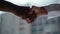 Close-up of handshake African american man and white woman on background of window and cityscape.