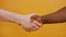 Close up of a handshake. Black and white hand, interracial friendship and cooperation concept