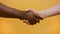 Close up of a handshake. Black and white hand, interracial friendship and cooperation concept