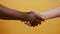 Close up of a handshake. Black and white hand, interracial friendship and cooperation concept