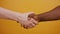 Close up of a handshake. Black and white hand, interracial friendship and cooperation concept