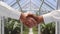 Close-up of a handshake between two men in white shirts against the background of a glass greenhouse