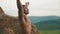 Close-up of handsome african american bodybuilder stretching outdoor. Mountain landscape background