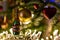 Close up hanging champagne with congratulation sign on christmas tree with christmas ornament and lights