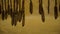 Close-up of hanging wooden curtains. Art. Wooden curtain. Wooden beads.. Ethnic wood beads curtain closeup