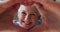 Close up happy older woman making heart symbol