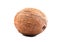 Close-up hard brown coconut on a bright white isolated background. A whole nut. Tasteful tropical nuts. Organic foods.