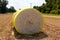 Close up of harvested cotton in a bale