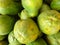 Close-up of Hawaiian papayas