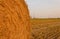 Close-up of a hay cylindrical bale in a farmland