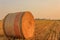 Close-up of a hay cylindrical bale in a farmland